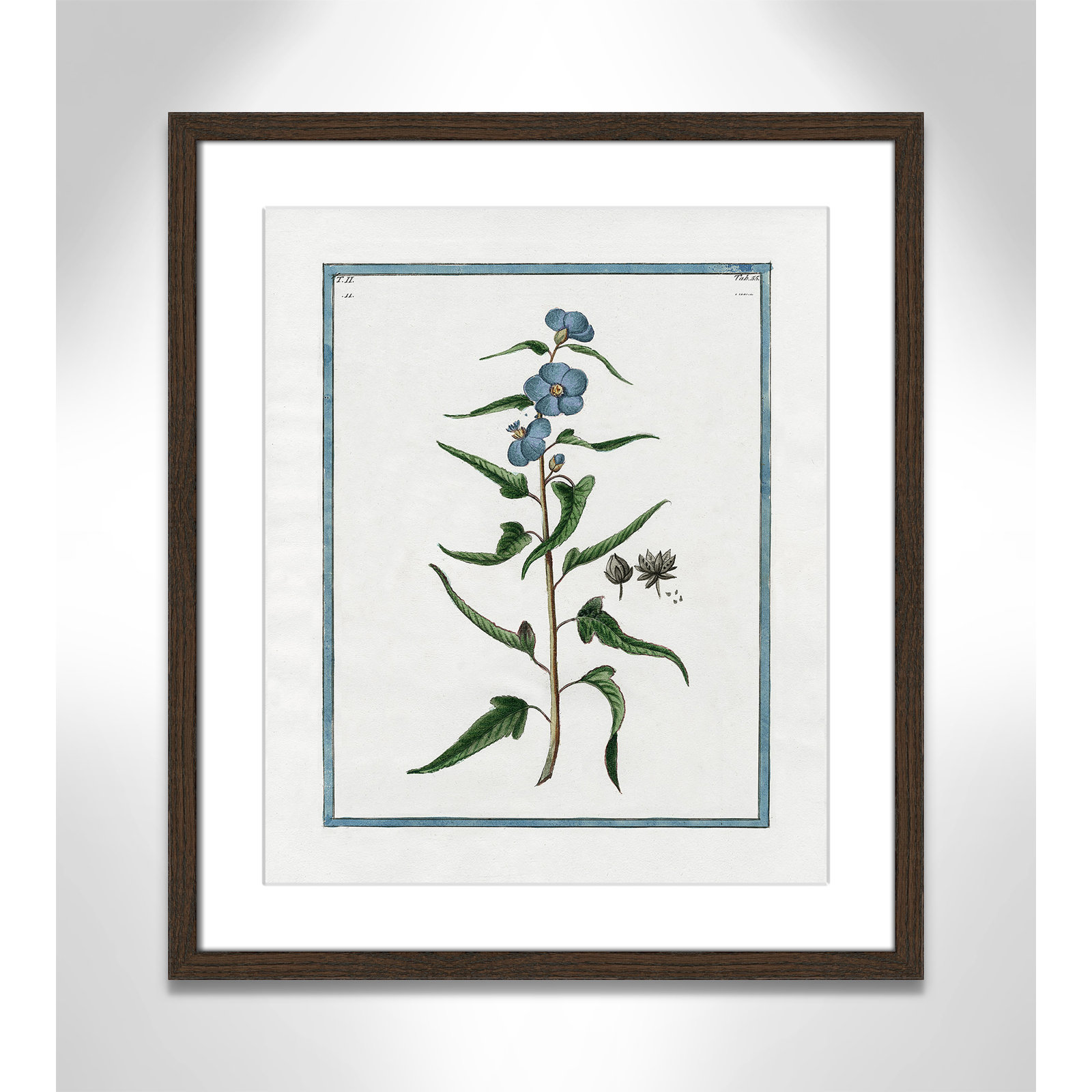 Colombe "Shabby Elegance Botanical I" Print, 16" W x 19" H, Walnut Framed