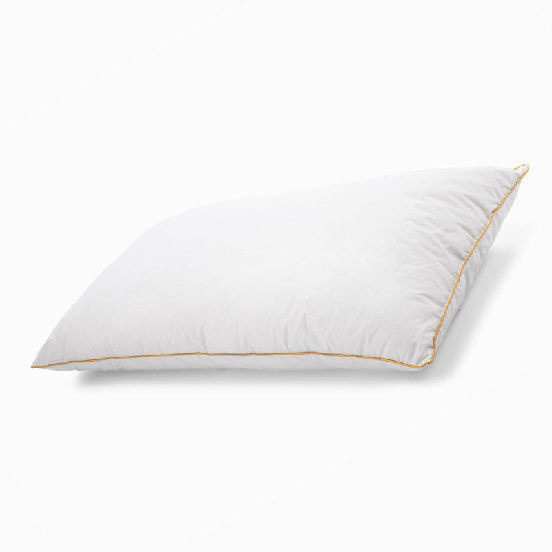  Oreiller luxueux en duvet et plumes - Grand oreiller 20 x 28