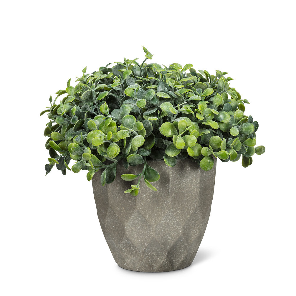 Primrue 6'' Faux Foliage Plant in Planter | Wayfair