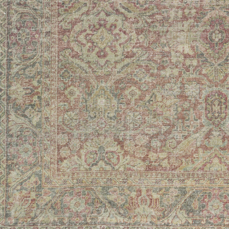 Amedeo Oriental Indoor Rug, Rectangle 8'6" x 11'6"