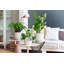 Pot Planter-69444363-69444373