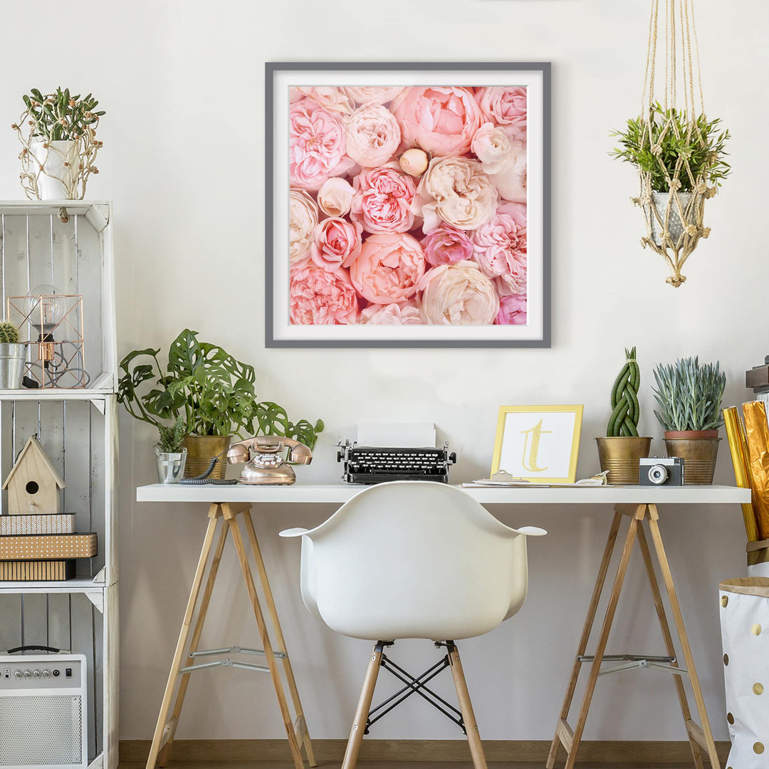 Gerahmter Grafikdruck Roses Coral Shabby