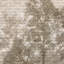 Papier peint mural Ethereal Forest Mist-112696796-112696794