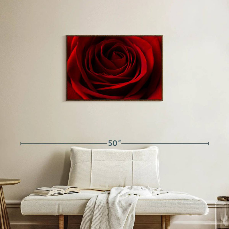 Rose rouge Saint-Valentin, Cadre flottant noyer, 31 po x 21 po