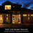 Edson LED Wall Light-825298457