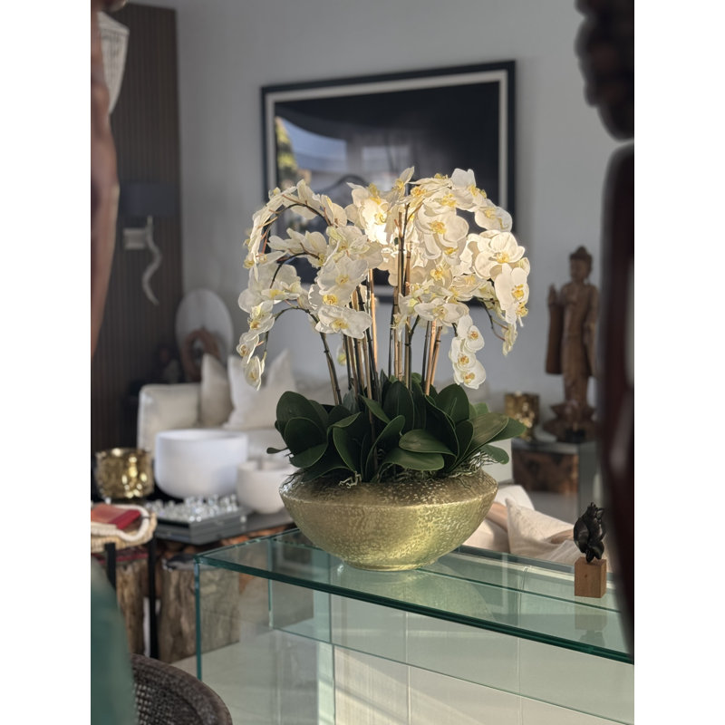 Blaze Bowl With Phalaenopsis Orchids, White