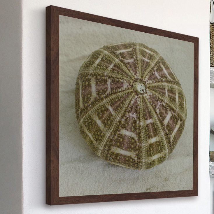 Judy Stalus - Single Picture Frame Print, 41cm H x 41cm W x 3.81cm D