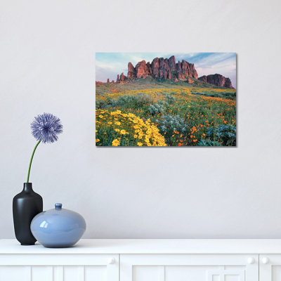 California Brittlebush, Lost Dutchman State Park, Superstition Mountains 1 Piece Wrapped Canvas Wall Art