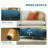 Raised Pet Couch With Comfortable Cushion, Pine Wood Legs
