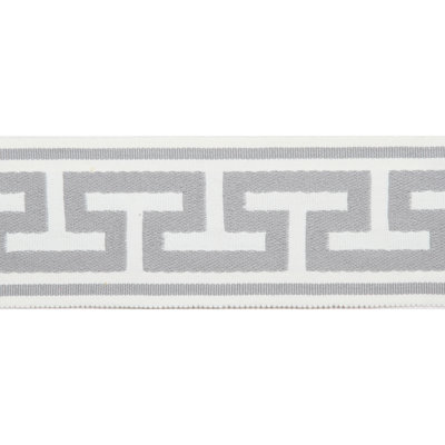 2.75" Embroidered Tape - Trim by the Yard