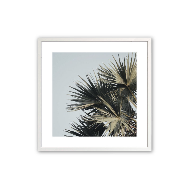 Barrick Sky High Palms - impression d'un seul cadre photo, H 16 po x l 16 po x P 1,25 po, Blanc opaque