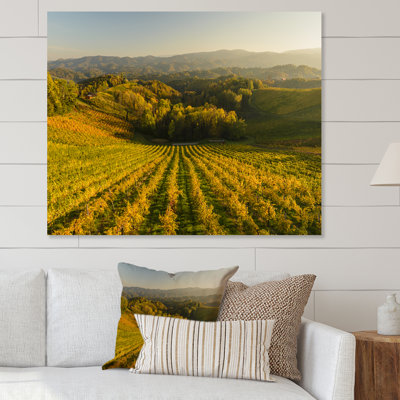 Vineyard Sunset Landscape - Décoration murale traditionnelle sur toile