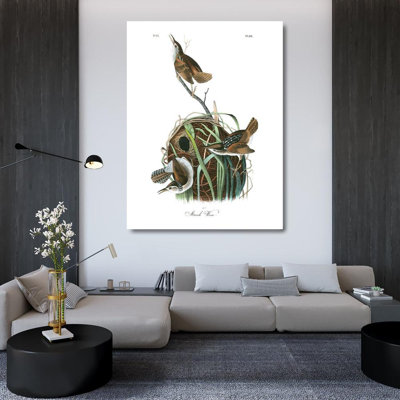 Alcott Hill® Audubon, John James Gallery, art sur toile tendue: Marsh Wren