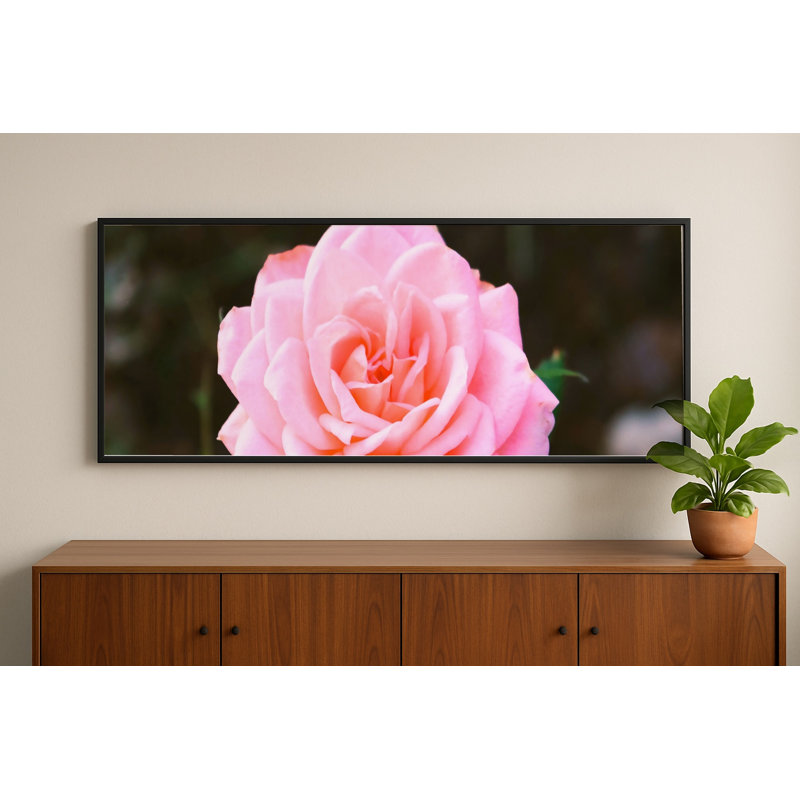 Rose rose en fleurs, art mural encadré, H 13,75 po x l 37,75 po