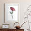 Watercolor Floral Contour II encadré mat - prêt à accrocher-515009057-515009086