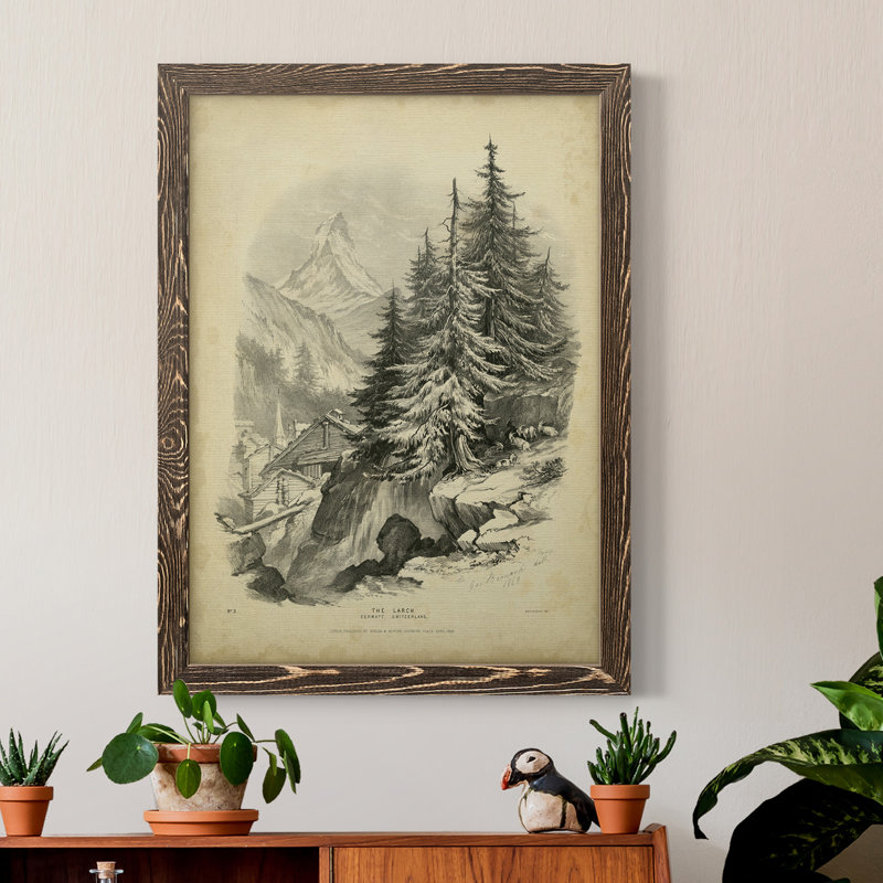 The Larch - Reproduction de photo sur toile, Cadre noyer, H 24 po x l 20 po