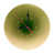 Dégradé de vert