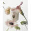 La Rose Jar Candle