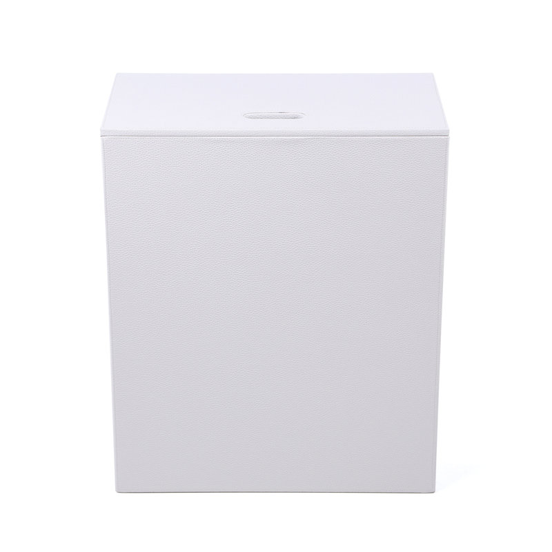 Leveille Plastic Laundry Hamper with Handles, White