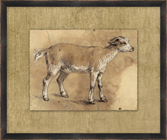 Charcoal Animal Collection 2 Framed Print