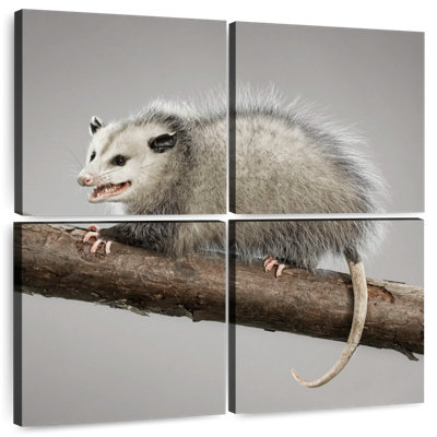 Bramoss Snarky Opossum