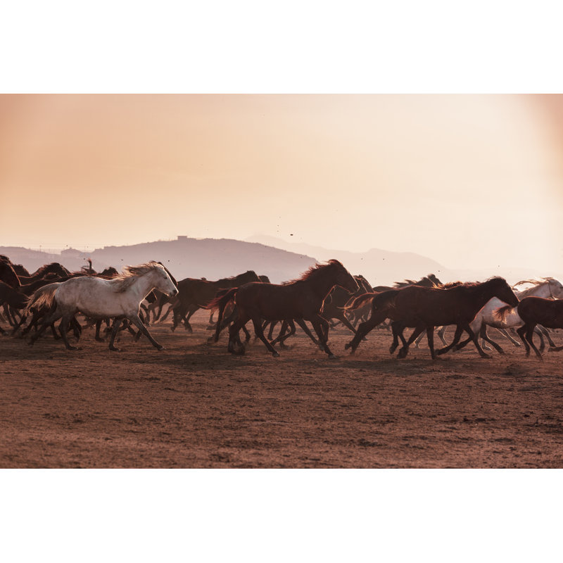 Horse Shepherd by Ilkersener - Wrapped Canvas Print, 81cm H x 122cm W