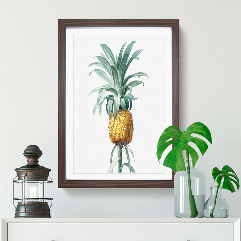 Pineapple Fruit by Pierre-Joseph Redoute - Picture Frame Painting Print, Walnut Framed, 36cm H x 27cm W x 2cm D