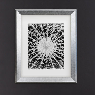 Cactus par Kurt Shaffer - reproduction de photo sur toile encadrée