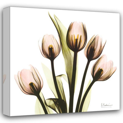 Crystal Flowers X-Ray, Tulip Bouquet