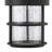 Saturn 1-Light Outdoor Hanging Lantern
