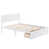 White is out of stock selected