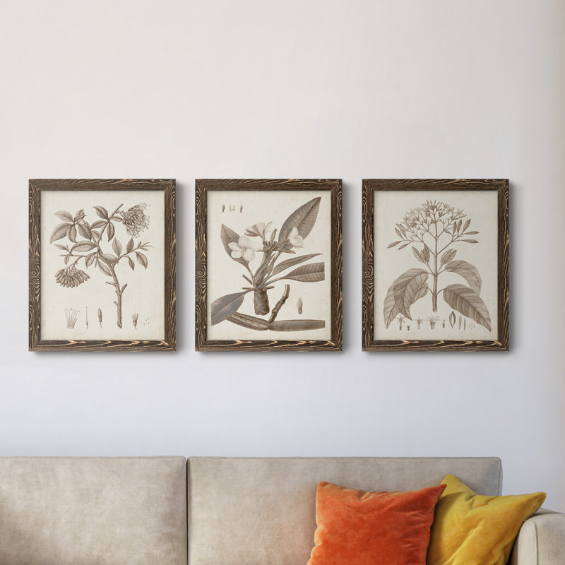 Antique sépia botanicals I - ensemble de 3 reproductions d'art sur toile, Noyer, H 20 po x l 51 po x P 1,5 po