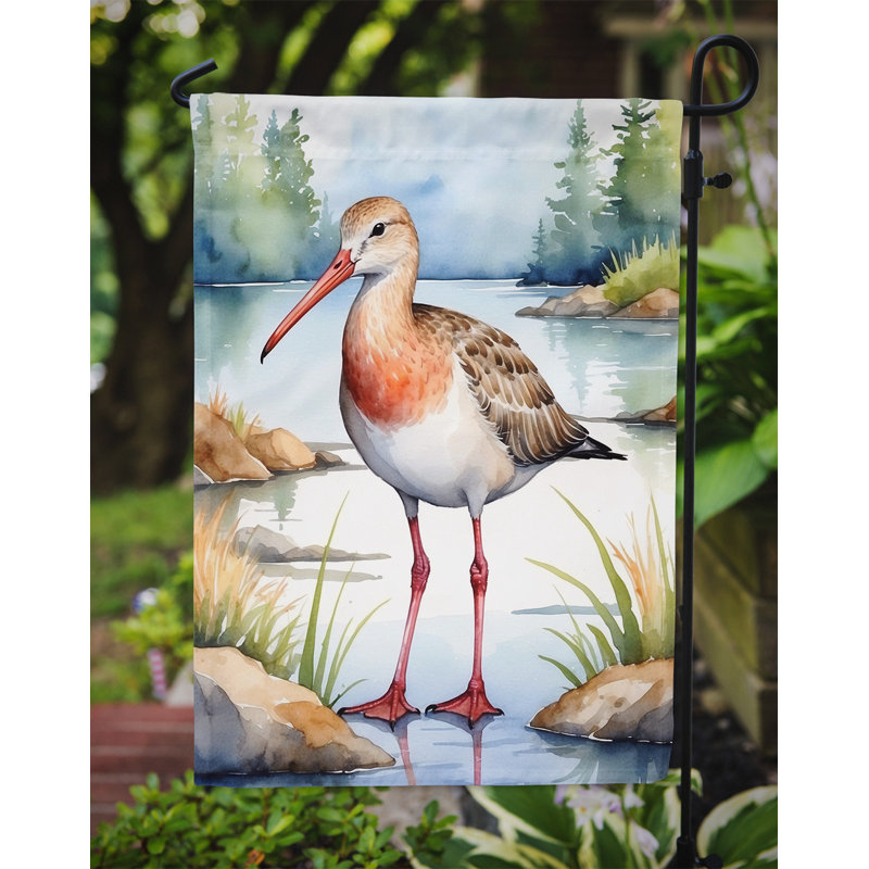 Drapeau de jardin Surfbird Bird, Barge hudsonienne