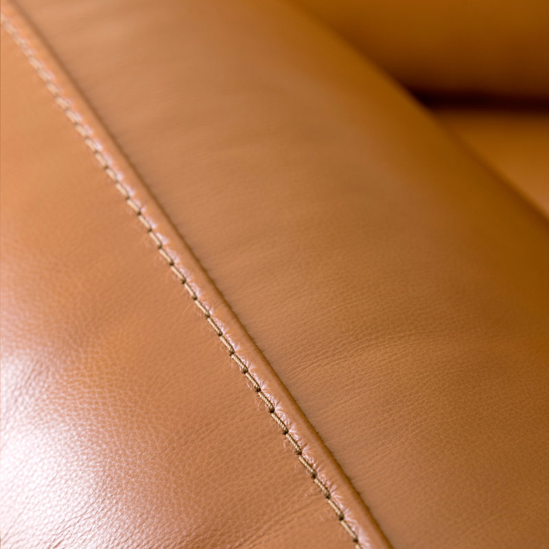 Apgar Upholstered 88.5'' Sofa, Camel Leather