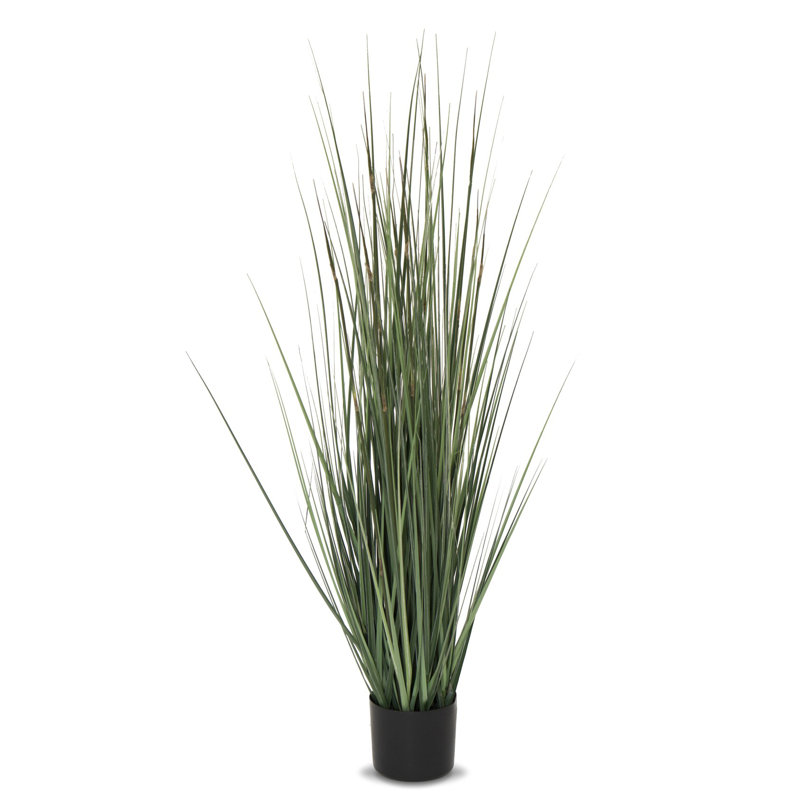 Faux Evergreen Grass in Pot, 122cm H x 55cm W x 55cm D, Black, Dark Green