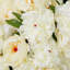 Bouquet Of Peonies Pink Tones Real Touch 48 Pcs/2 Varieties-1100137748