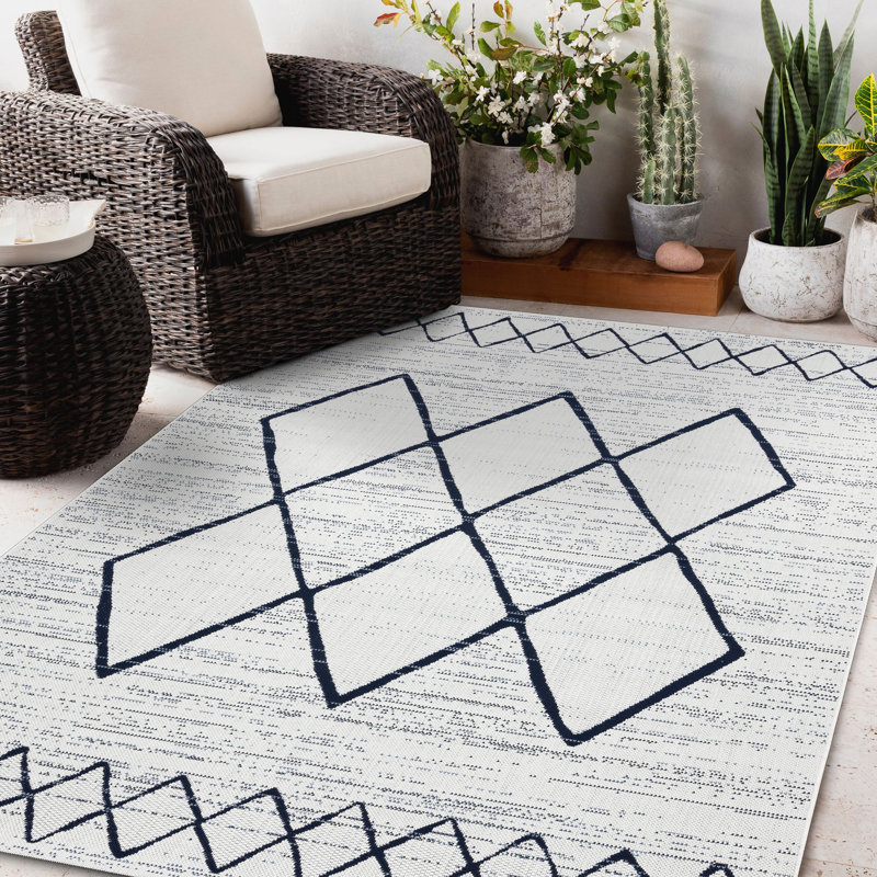 Aquirre Indoor / Outdoor Area Rug, Rectangle 80 x 150cm