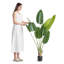 152.4cm Faux Palm Tree in Planter