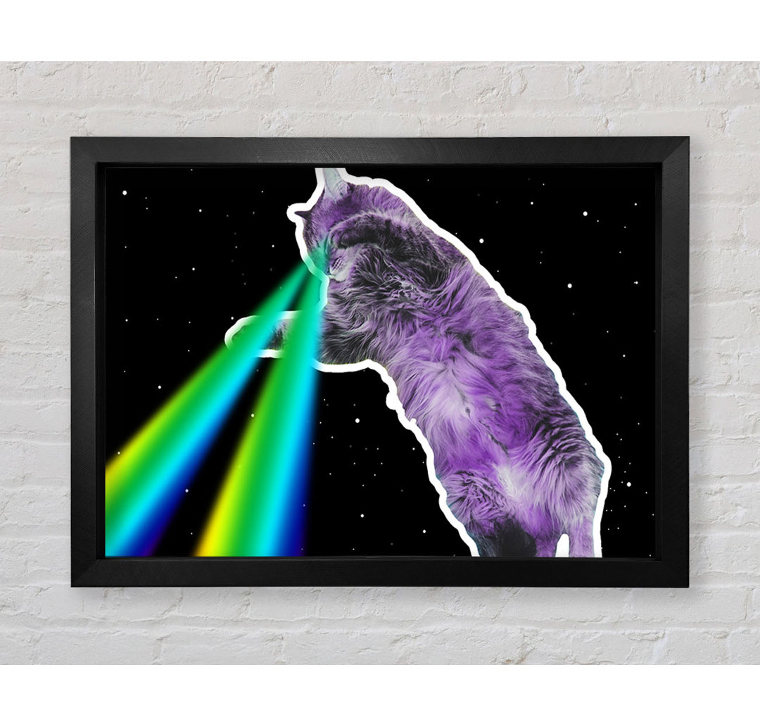 Katze Lazer Beam Space - Druck