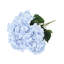 Tige d'hortensia de luxe Cragmont-715876242