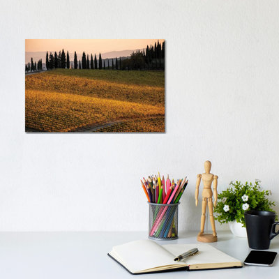 Italy, Tuscany, Vineyard, Late Light by George Theodore - Wrapped Canvas Print