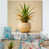 Toile tendue