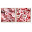Rose Sakura Blossoms Floral IV - ensemble de 2 collages floraux carrés-102161732-102161737