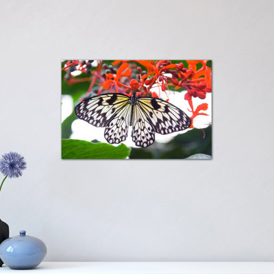 'White Butterfly' Photograph on Wrapped Canvas