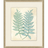 Spring Ferns 1 Painting