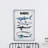 Assorted Sharks Print on Wrapped Canvas-443998063