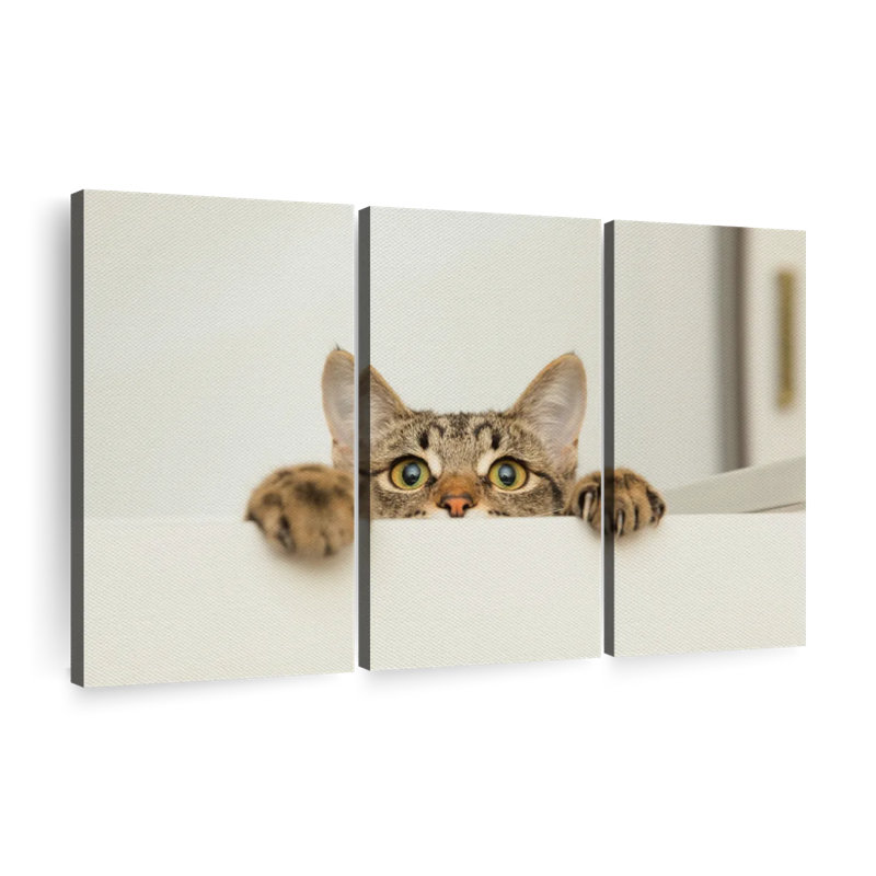 «Peeking Young Cat», 3 pièces, H 36 po x l 57 po x P 1,25 po