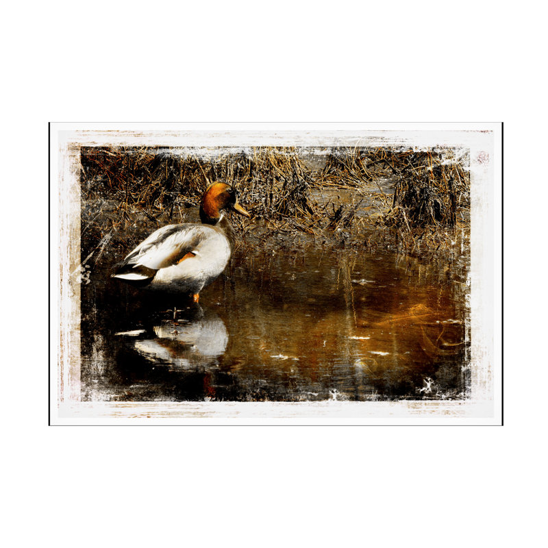 Art sur toile bolologique «bolle», H 12 po x l 19 po