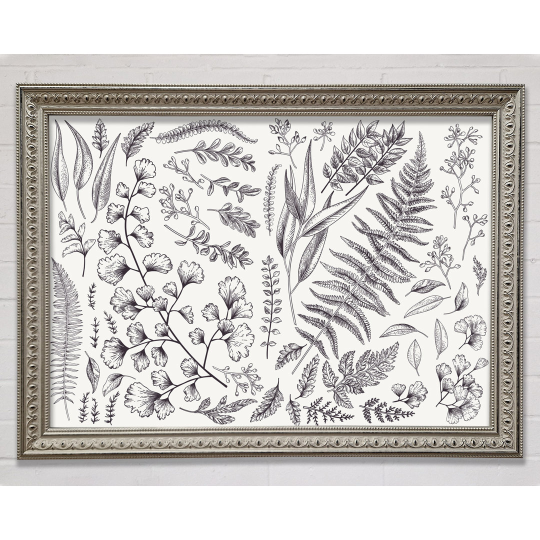 Natures Leaves Hand Drawn - Single Picture Frame Kunstdrucke