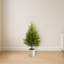 Arbre de Noël artificiel Norfolk Island